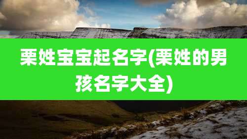 栗姓宝宝起名字(栗姓的男孩名字大全)