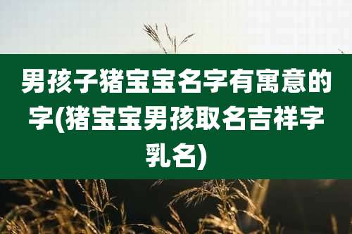 男孩子猪宝宝名字有寓意的字(猪宝宝男孩取名吉祥字乳名)