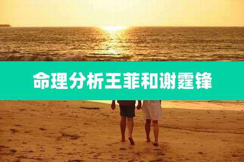命理分析王菲和谢霆锋