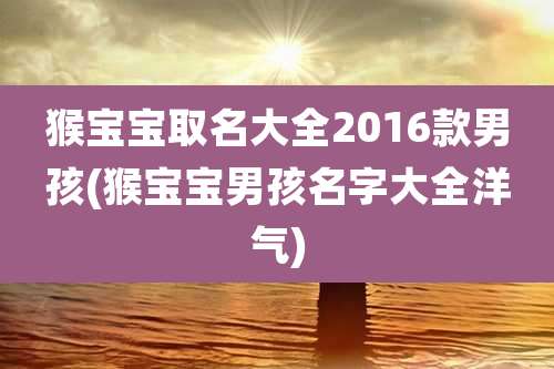 猴宝宝取名大全2016款男孩(猴宝宝男孩名字大全洋气)