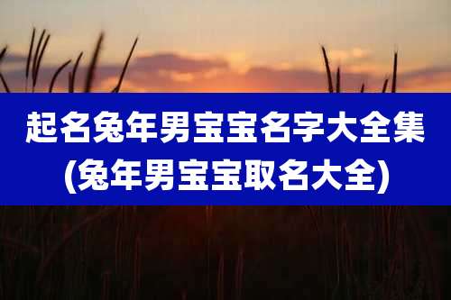 起名兔年男宝宝名字大全集(兔年男宝宝取名大全)