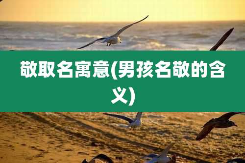 敬取名寓意(男孩名敬的含义)