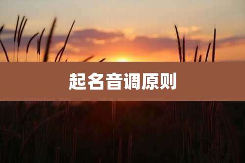 起名音调原则
