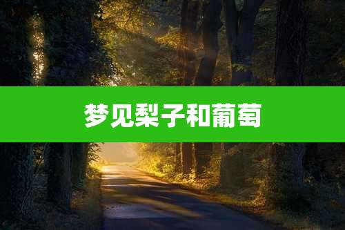 梦见梨子和葡萄