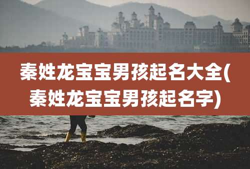 秦姓龙宝宝男孩起名大全(秦姓龙宝宝男孩起名字)