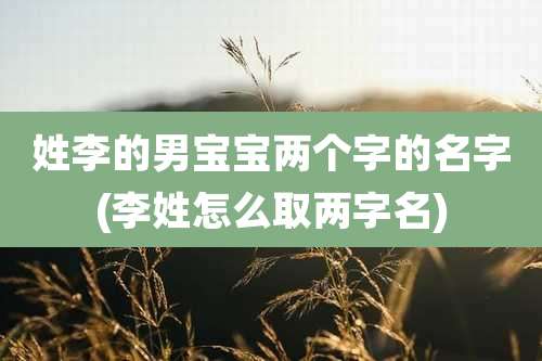 姓李的男宝宝两个字的名字(李姓怎么取两字名)