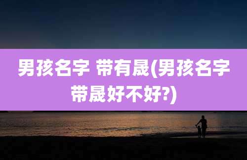 男孩名字 带有晟(男孩名字带晟好不好?)