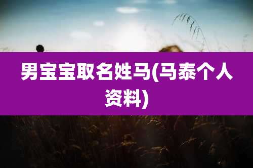 男宝宝取名姓马(马泰个人资料)