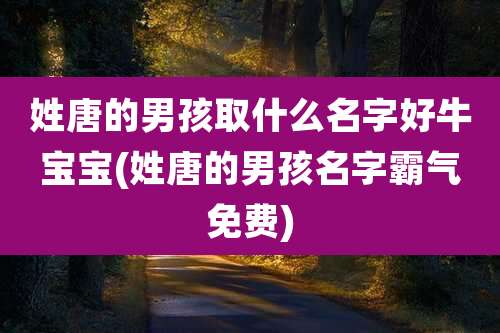 姓唐的男孩取什么名字好牛宝宝(姓唐的男孩名字霸气免费)