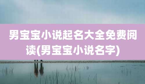 男宝宝小说起名大全免费阅读(男宝宝小说名字)