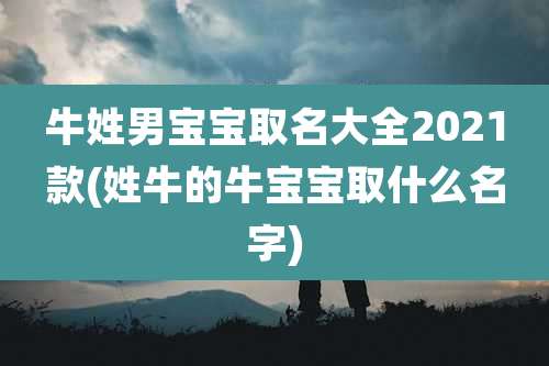 牛姓男宝宝取名大全2021款(姓牛的牛宝宝取什么名字)