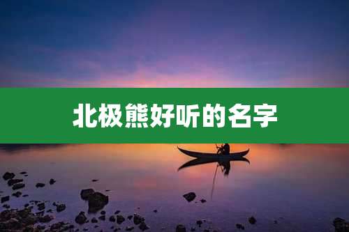 北极熊好听的名字
