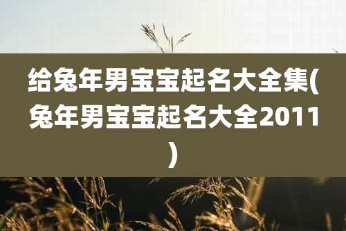 给兔年男宝宝起名大全集(兔年男宝宝起名大全2011)