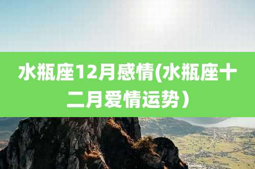 水瓶座12月感情(水瓶座十二月爱情运势)