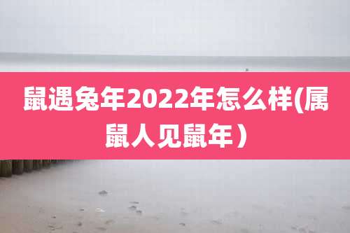鼠遇兔年2022年怎么样(属鼠人见鼠年)