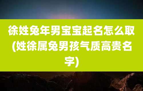 徐姓兔年男宝宝起名怎么取(姓徐属兔男孩气质高贵名字)