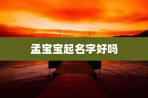 孟宝宝起名字好吗