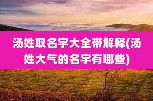 汤姓取名字大全带解释(汤姓大气的名字有哪些)