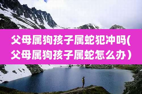 父母属狗孩子属蛇犯冲吗(父母属狗孩子属蛇怎么办）