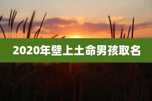 2020年壁上土命男孩取名