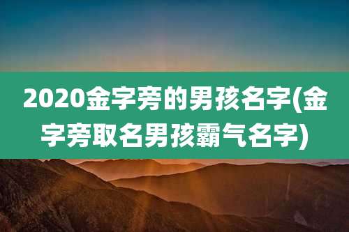2020金字旁的男孩名字(金字旁取名男孩霸气名字)