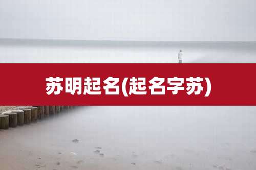 苏明起名(起名字苏)