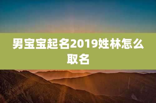 男宝宝起名2019姓林怎么取名