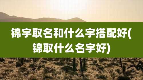 锦字取名和什么字搭配好(锦取什么名字好)