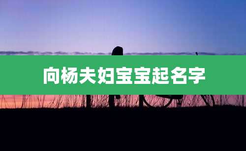 向杨夫妇宝宝起名字