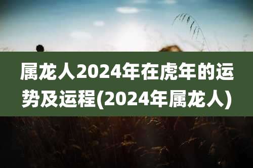 属龙人2024年在虎年的运势及运程(2024年属龙人)