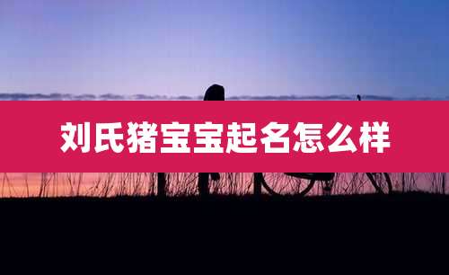 刘氏猪宝宝起名怎么样