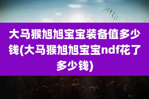 大马猴旭旭宝宝装备值多少钱(大马猴旭旭宝宝ndf花了多少钱)