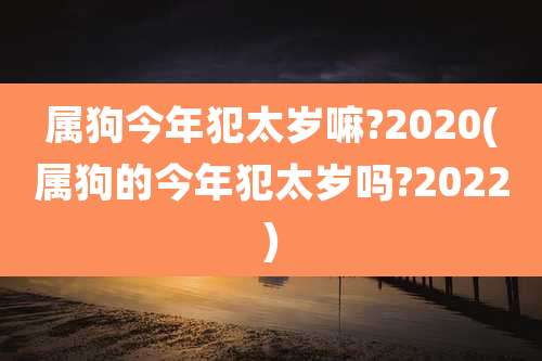 属狗今年犯太岁嘛?2020(属狗的今年犯太岁吗?2022)