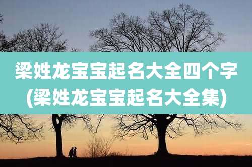 梁姓龙宝宝起名大全四个字(梁姓龙宝宝起名大全集)