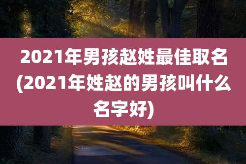 2021年男孩赵姓最佳取名(2021年姓赵的男孩叫什么名字好)