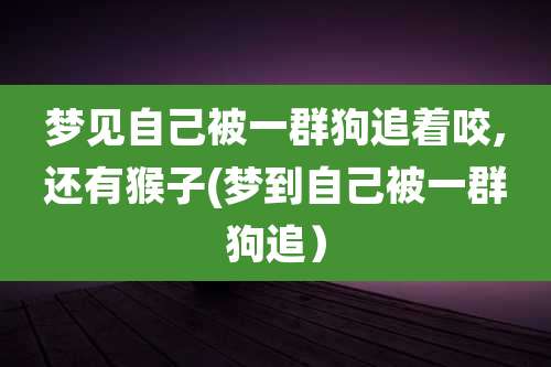 梦见自己被一群狗追着咬,还有猴子(梦到自己被一群狗追）