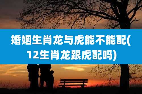 婚姻生肖龙与虎能不能配(12生肖龙跟虎配吗)