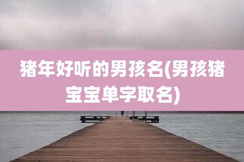 猪年好听的男孩名(男孩猪宝宝单字取名)