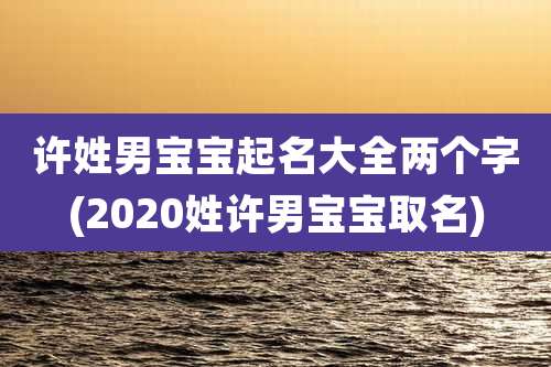 许姓男宝宝起名大全两个字(2020姓许男宝宝取名)