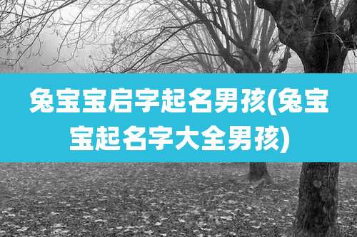 兔宝宝启字起名男孩(兔宝宝起名字大全男孩)