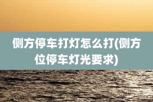 侧方停车打灯怎么打(侧方位停车灯光要求)