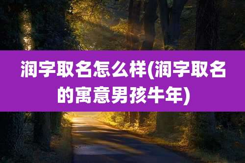 润字取名怎么样(润字取名的寓意男孩牛年)