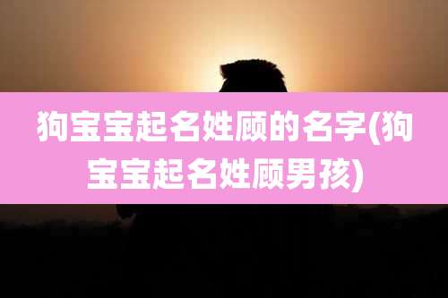 狗宝宝起名姓顾的名字(狗宝宝起名姓顾男孩)