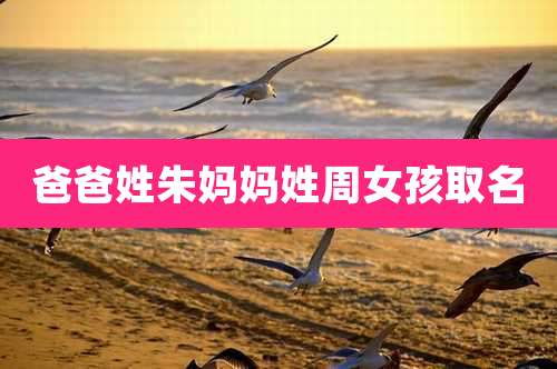 爸爸姓朱妈妈姓周女孩取名