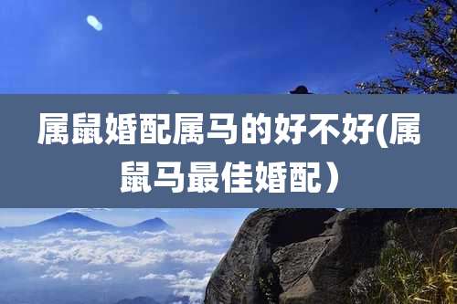 属鼠婚配属马的好不好(属鼠马最佳婚配）