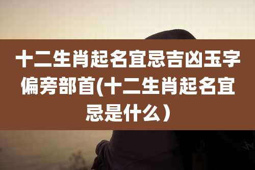 十二生肖起名宜忌吉凶玉字偏旁部首(十二生肖起名宜忌是什么）