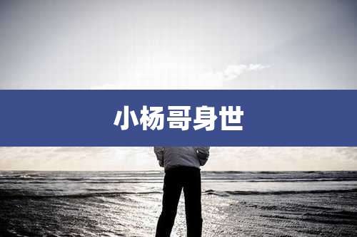 小杨哥身世
