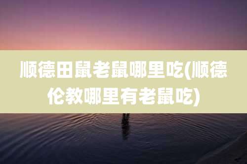 顺德田鼠老鼠哪里吃(顺德伦教哪里有老鼠吃)