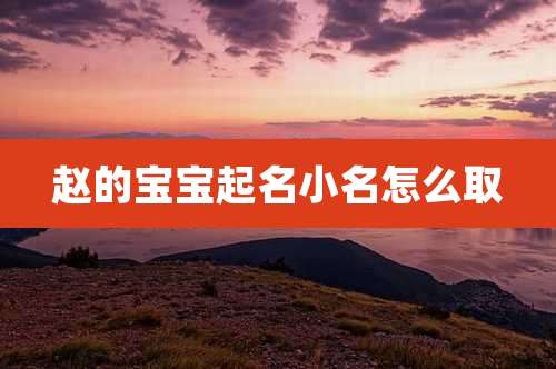 赵的宝宝起名小名怎么取