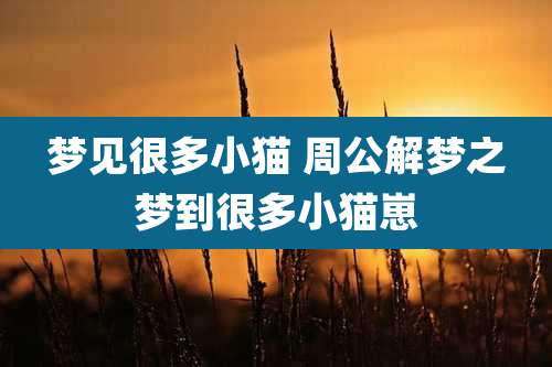 梦见很多小猫 周公解梦之梦到很多小猫崽